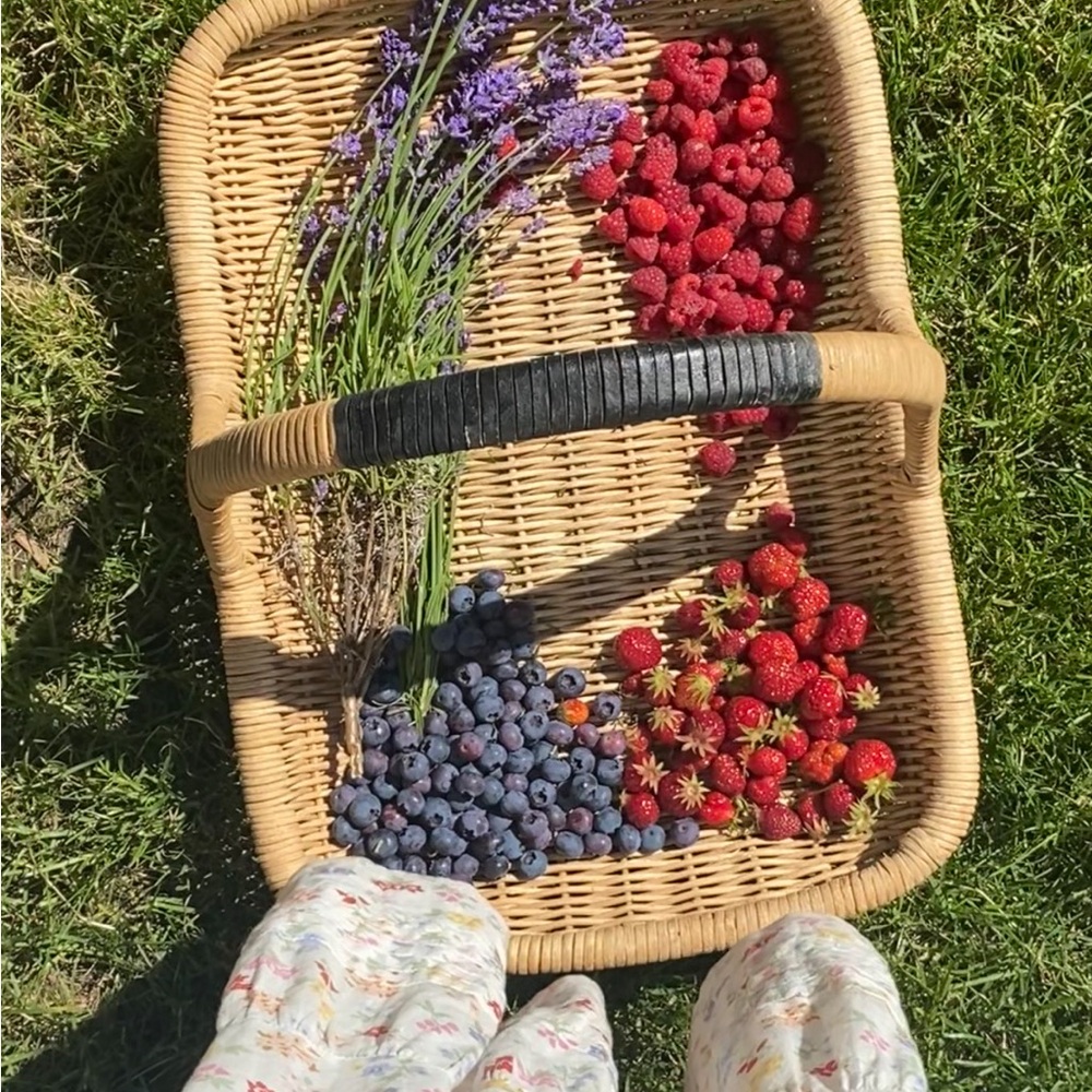 Meet your Posher, Lindy